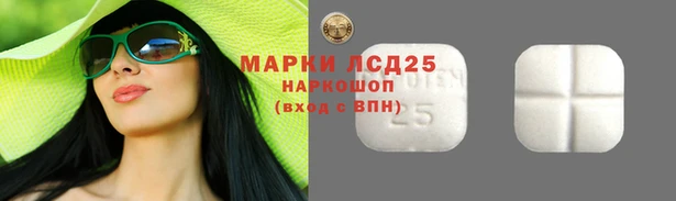 дживик Слюдянка