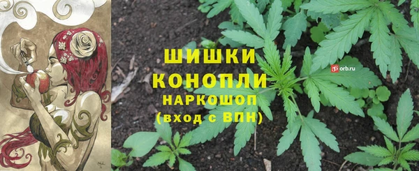 альфа пвп Снежногорск