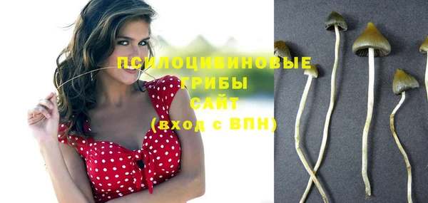 СК Снежинск