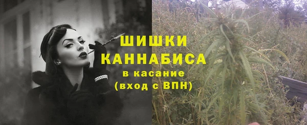 дживик Слюдянка