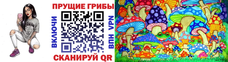 Галлюциногенные грибы GOLDEN TEACHER Магнитогорск