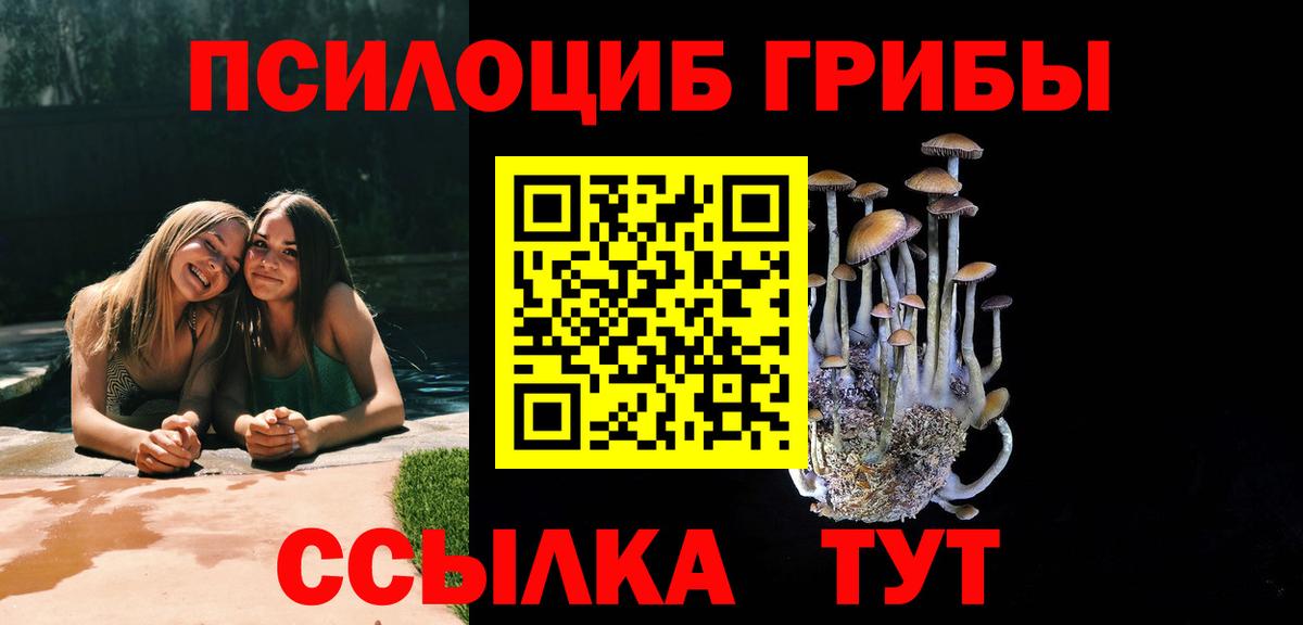 Псилоцибиновые грибы Psilocybe Магнитогорск