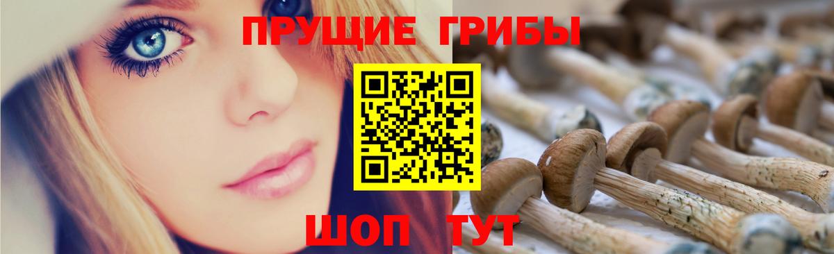 Магнитогорск  Псилоцибиновые грибы мицелий  Вход с VPN 